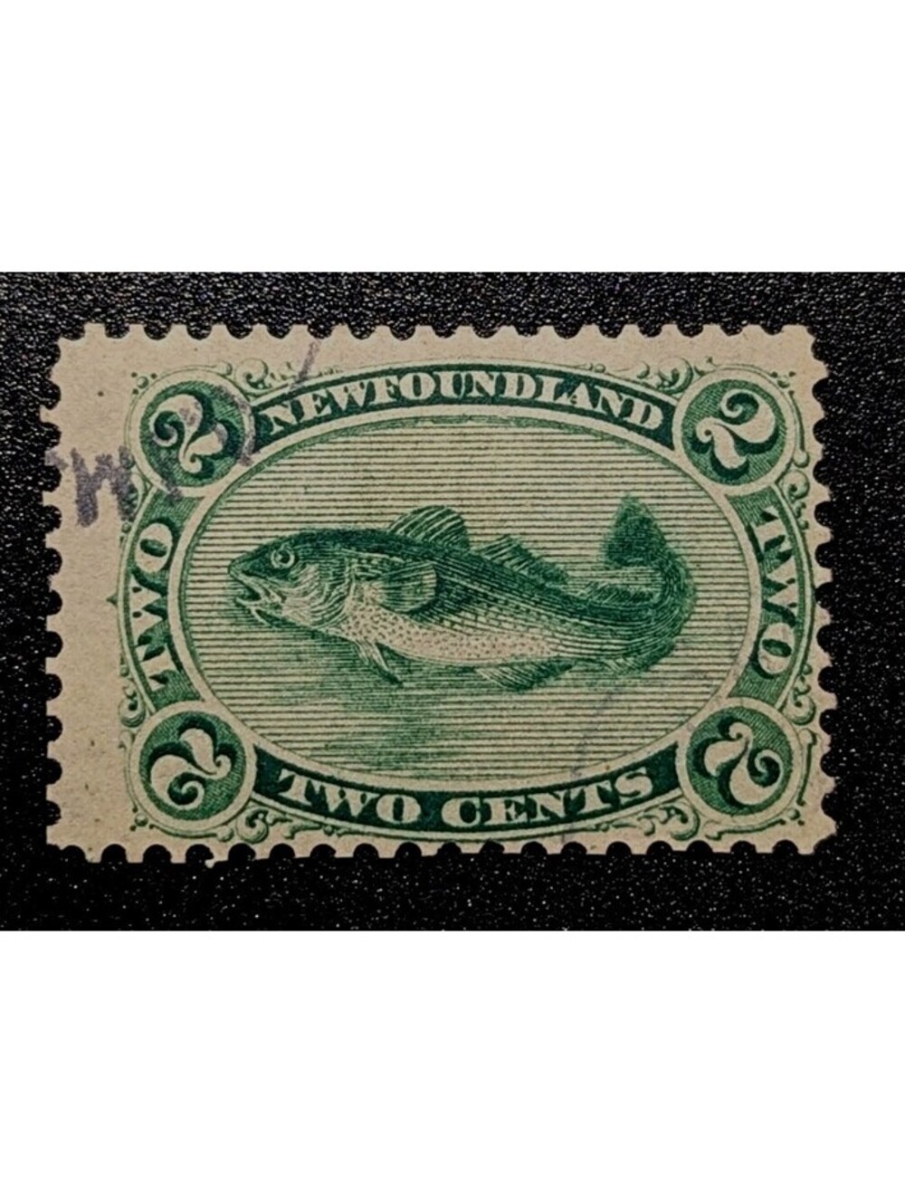 Canada 1865 Newfoundland 2p Green Scott #24 Mint